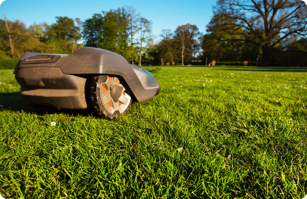 digital steuerbarer Mähroboter auf einer Wiese
